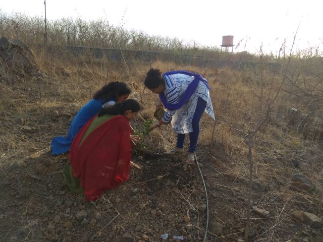 environment_day_MMIT