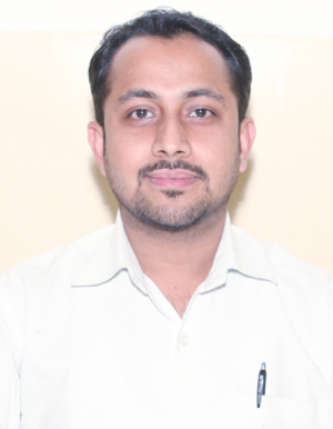 Mr. Sanjay A. Agrawal