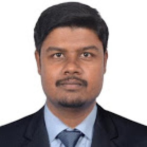 Mr. Nilesh N. Satonkar